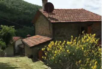 Rexer-Pieve-Santo-Stefano-Vendesi-casa-di-paese-in-vendita-in-Voltraio-Terrazzo