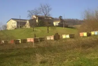 Rexer-San-Martino-sulla-Marrucina-Propriet-rustica-in-vendita-San-Martino-sulla-Maruccina-Altro