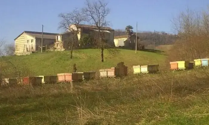 Rexer-San-Martino-sulla-Marrucina-Propriet-rustica-in-vendita-San-Martino-sulla-Maruccina-Altro