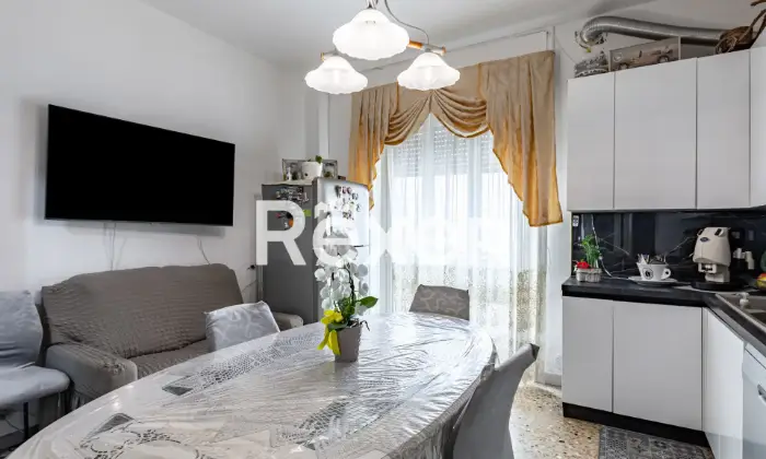 Rexer-NICHELINO-Nichelino-via-Juvarra-Trilocale-attualmente-locato-in-ottimo-stato-interno-Tipo-C-Cucina