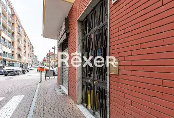 Rexer-NICHELINO-NICHELINO-ZONA-JUVARRA-TRILOCALE-OCCUPATO-TIPO-D-IMMOBILE-A-REDDITO-IN-OTTIMO-STATO-INTERNO-Terrazzo