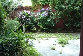 Rexer-Confienza-Villa-su-piani-a-Confienza-PV-Giardino