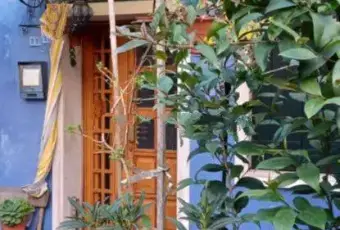 Rexer-Venezia-Casa-singola-in-via-San-Mauro-a-Burano-Venezia-Giardino