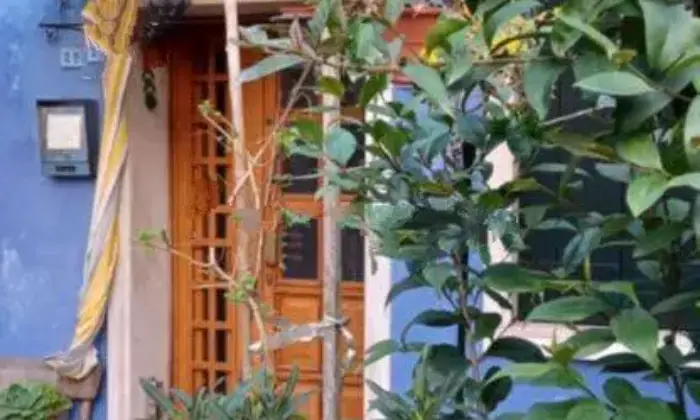 Rexer-Venezia-Casa-singola-in-via-San-Mauro-a-Burano-Venezia-Giardino