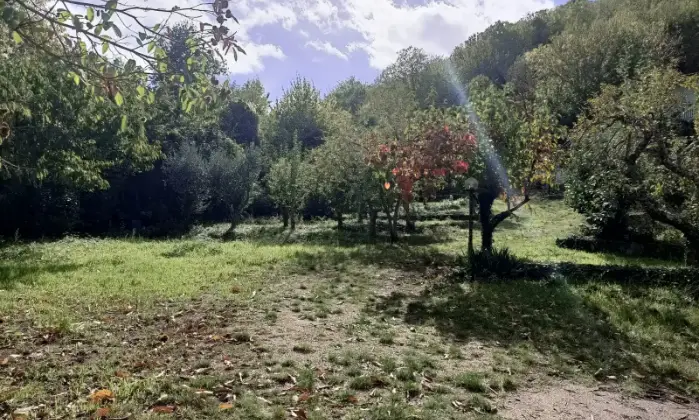 Rexer-Tempio-Pausania-Splendida-villetta-con-grande-frutteto-Terrazzo