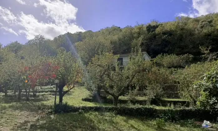 Rexer-Tempio-Pausania-Splendida-villetta-con-grande-frutteto-Terrazzo