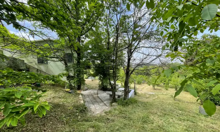 Rexer-Tempio-Pausania-Splendida-villetta-con-grande-frutteto-Giardino