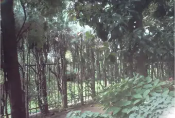 Rexer-Vigevano-Vigevano-Via-San-Giovanni-vendiamo-quadrilocale-al-piano-terra-con-giardino-Terrazzo