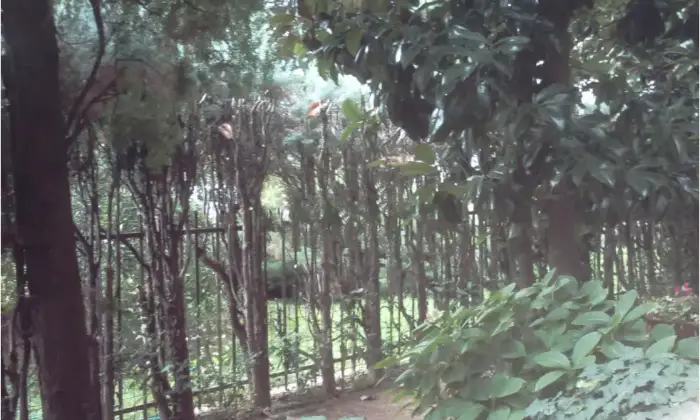 Rexer-Vigevano-Vigevano-Via-San-Giovanni-vendiamo-quadrilocale-al-piano-terra-con-giardino-Terrazzo