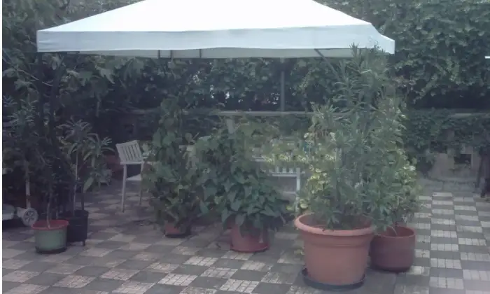 Rexer-Vigevano-Vigevano-Via-San-Giovanni-vendiamo-quadrilocale-al-piano-terra-con-giardino-Terrazzo