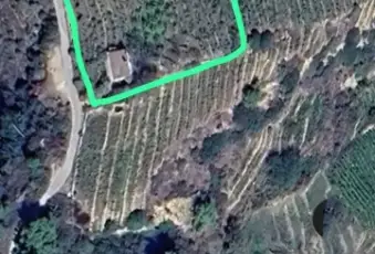 Rexer-San-Biagio-della-Cima-Rustico-Casale-in-Via-Annunziata-San-Biagio-della-Cima-ALTRO