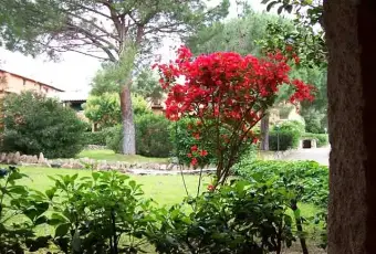 Rexer-Olbia-Vacanze-in-costa-smeralda-Giardino