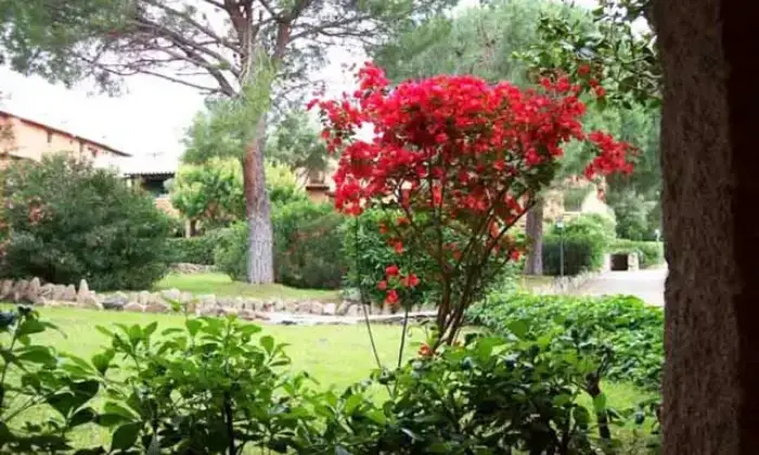 Rexer-Olbia-Vacanze-in-costa-smeralda-Giardino