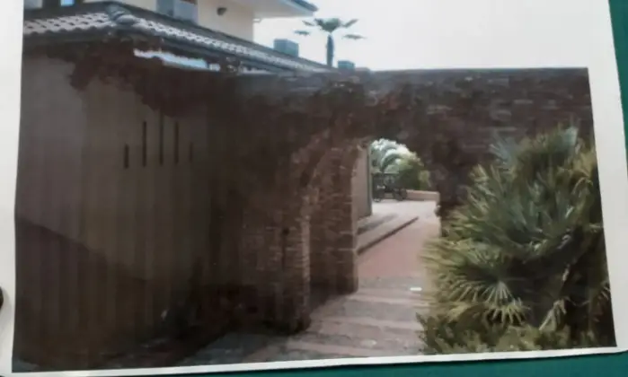 Rexer-Malito-Vendesi-villa-a-Malito-vicino-a-Cosenza-Giardino