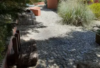 Rexer-Malito-Vendesi-villa-a-Malito-vicino-a-Cosenza-Giardino