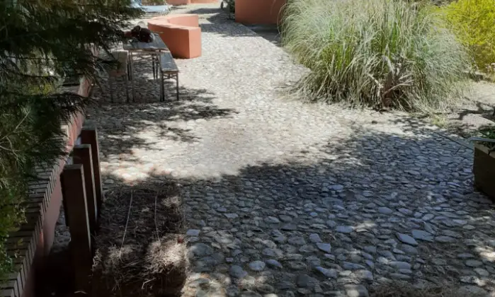 Rexer-Malito-Vendesi-villa-a-Malito-vicino-a-Cosenza-Giardino