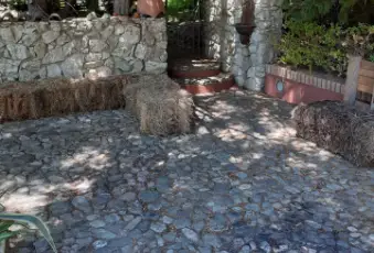 Rexer-Malito-Vendesi-villa-a-Malito-vicino-a-Cosenza-Giardino