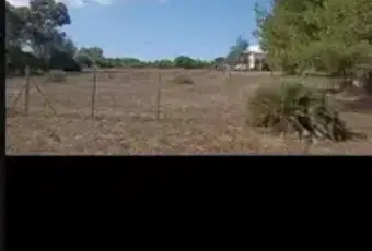 Rexer-Alghero-Casa-con-terreno-in-vendita-in-via-Tanca-Farr-Alghero-Giardino