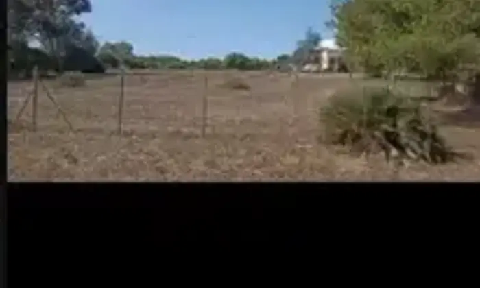 Rexer-Alghero-Casa-con-terreno-in-vendita-in-via-Tanca-Farr-Alghero-Giardino