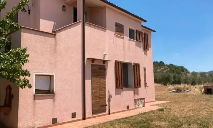 Rexer-Campagnatico-Vendesi-casa-indipendente-a-CAMPAGNATICO-Giardino