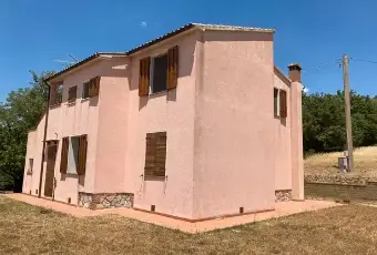 Rexer-Campagnatico-Vendesi-casa-indipendente-a-CAMPAGNATICO-Giardino