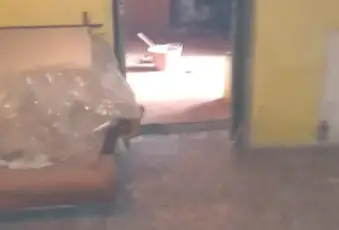 Rexer-Cabras-Vendita-casa-a-Cabras-da-ristrutturare-Altro