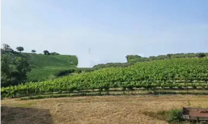 Rexer-Citt-SantAngelo-Propriet-rustica-in-vendita-in-via-Sorripe-a-Citt-SantAngelo-Terrazzo
