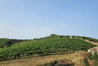 Rexer-Citt-SantAngelo-Propriet-rustica-in-vendita-in-via-Sorripe-a-Citt-SantAngelo-Terrazzo