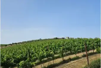 Rexer-Citt-SantAngelo-Propriet-rustica-in-vendita-in-via-Sorripe-a-Citt-SantAngelo-Terrazzo