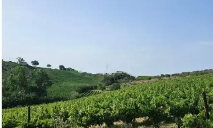Rexer-Citt-SantAngelo-Propriet-rustica-in-vendita-in-via-Sorripe-a-Citt-SantAngelo-Terrazzo
