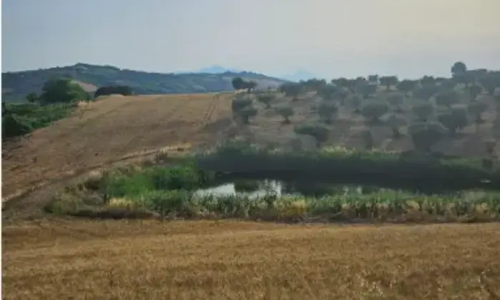 Rexer-Citt-SantAngelo-Propriet-rustica-in-vendita-in-via-Sorripe-a-Citt-SantAngelo-Terrazzo