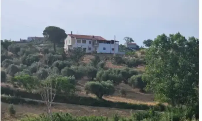 Rexer-Citt-SantAngelo-Propriet-rustica-in-vendita-in-via-Sorripe-a-Citt-SantAngelo-Terrazzo