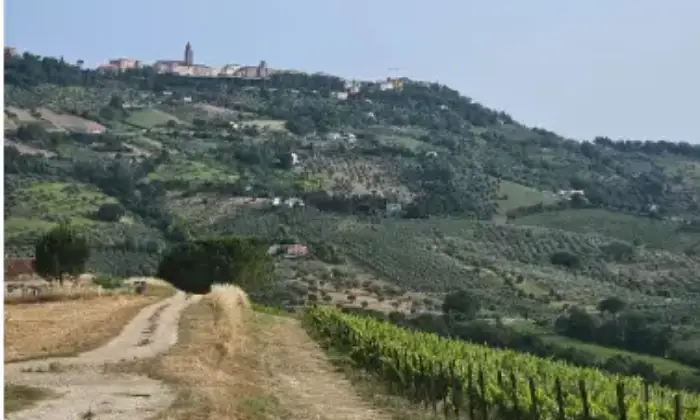 Rexer-Citt-SantAngelo-Propriet-rustica-in-vendita-in-via-Sorripe-a-Citt-SantAngelo-Terrazzo