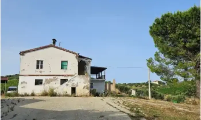 Rexer-Citt-SantAngelo-Propriet-rustica-in-vendita-in-via-Sorripe-a-Citt-SantAngelo-Giardino