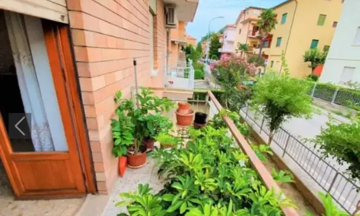 Rexer-Ascoli-Piceno-APPARTAMENTO-PORTA-MAGGIORE-mq-tezzazzi-piano-Giardino