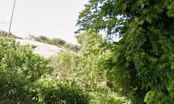 Rexer-Buseto-Palizzolo-VENDESI-BELLISSIMA-CASA-CON-GIARDINO-A-BUSETO-PALIZZOLO-TRAPANI-Terrazzo