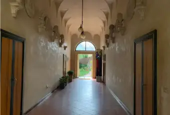 Rexer-Mantova-Vendesi-LOFT-Via-Mazzini-a-Mantova-Altro