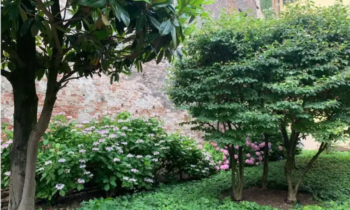 Rexer-Mantova-Vendesi-LOFT-Via-Mazzini-a-Mantova-Giardino