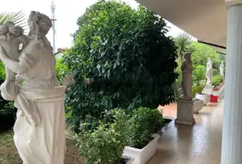 Rexer-Misano-Adriatico-Vendesi-Villa-unifamiliare-via-Carro-Santa-Monica-Cella-Misano-Adriatico-Giardino