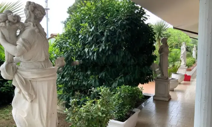 Rexer-Misano-Adriatico-Vendesi-Villa-unifamiliare-via-Carro-Santa-Monica-Cella-Misano-Adriatico-Giardino