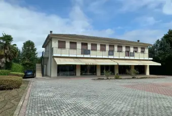 Rexer-Megliadino-San-Fidenzio-Vendesi-appartamento-a-Borgo-Veneto-ALTRO