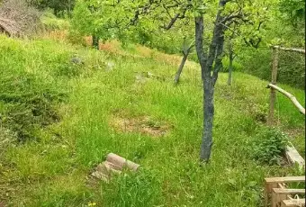 Rexer-Nimis-Baita-in-vendita-in-localit-Monteprato-a-Nimis-Terrazzo