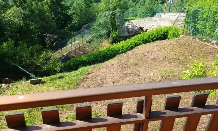 Rexer-Nimis-Baita-in-vendita-in-localit-Monteprato-a-Nimis-Altro
