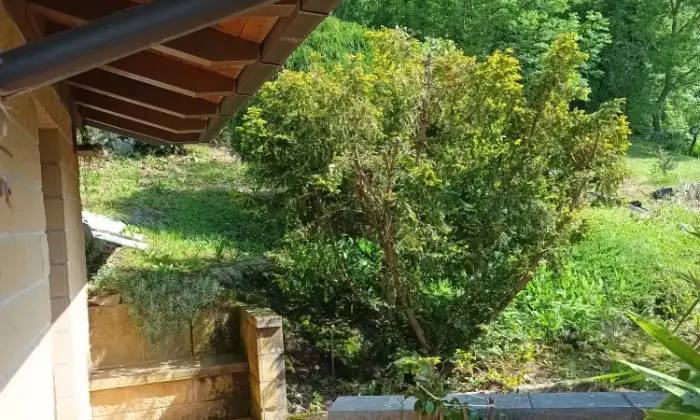 Rexer-Nimis-Baita-in-vendita-in-localit-Monteprato-a-Nimis-Altro