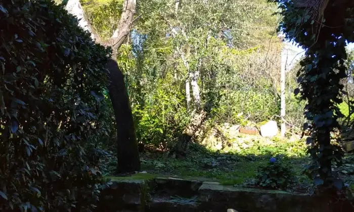 Rexer-Vaglia-Villetta-a-schiera-in-Via-di-Vigna-Vecchia-Vaglia-Giardino