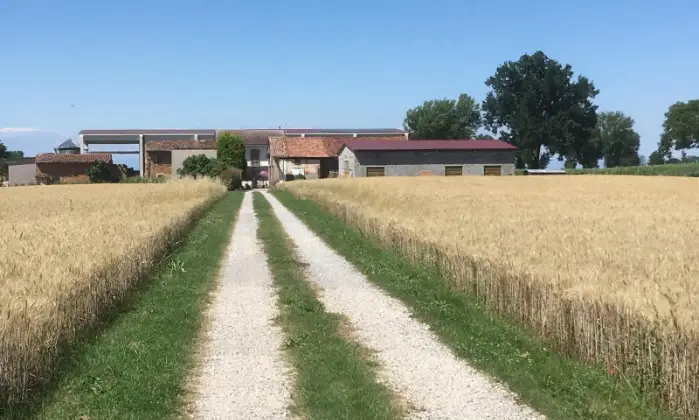Rexer-San-Martino-del-Lago-Cascina-San-Martino-del-Lago-Altro