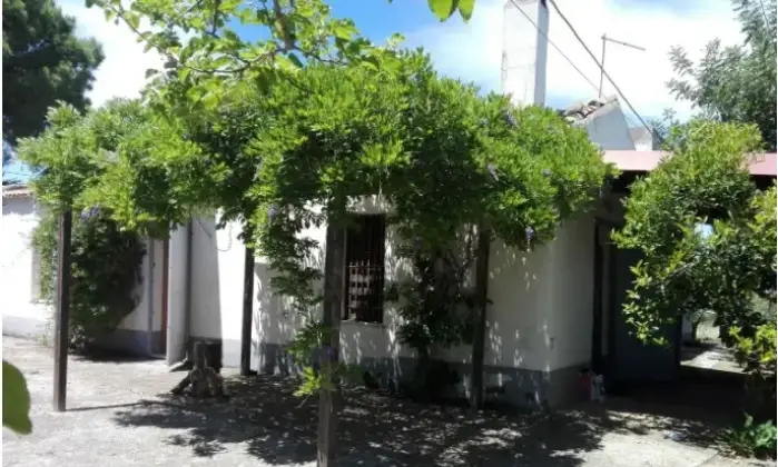 Rexer-Nova-Siri-Propriet-rustica-in-vendita-in-contrada-Cardinale-Nova-Siri-Terrazzo