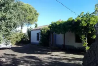 Rexer-Nova-Siri-Propriet-rustica-in-vendita-in-contrada-Cardinale-Nova-Siri-Terrazzo