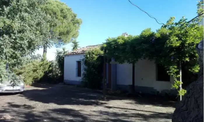 Rexer-Nova-Siri-Propriet-rustica-in-vendita-in-contrada-Cardinale-Nova-Siri-Terrazzo