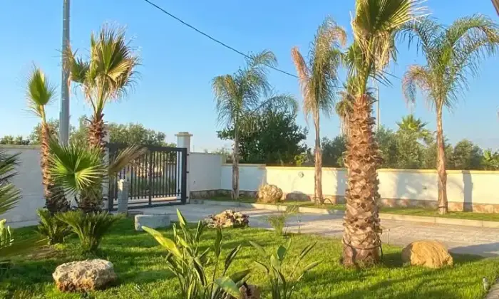 Rexer-Castelvetrano-Residenza-nelle-vicinanze-di-Selinunte-e-Marinella-Giardino